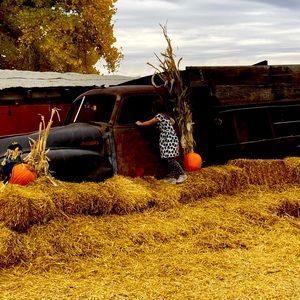 Meet your Posher, Holly